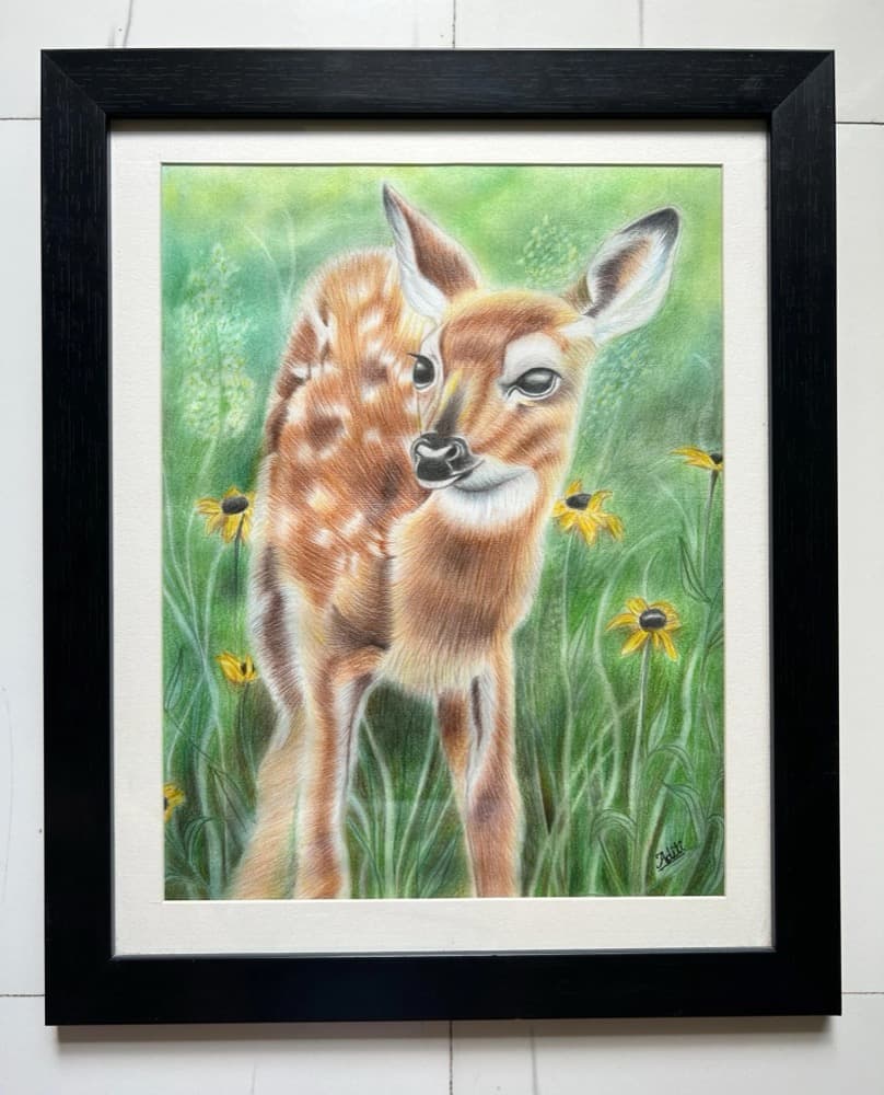 Colored pencil drawing of a fawn in a meadow